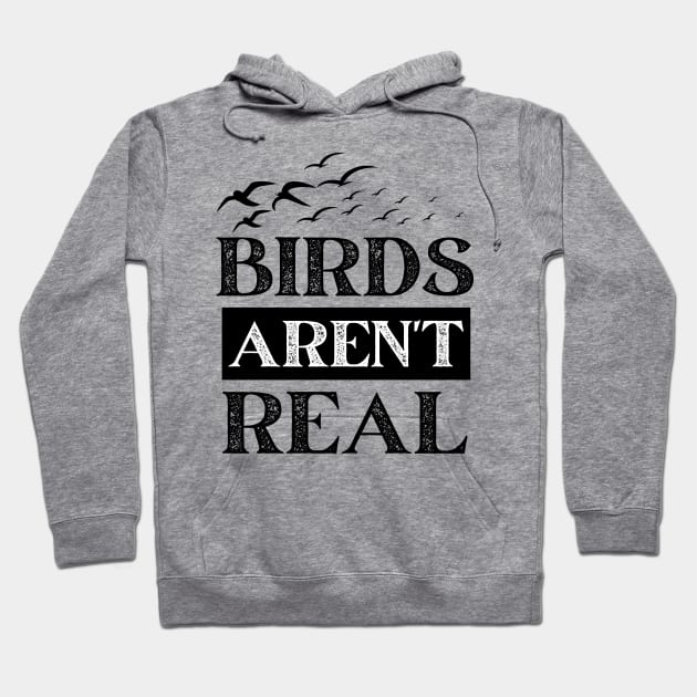 Birds Aren't Real Hoodie by Owlora Studios